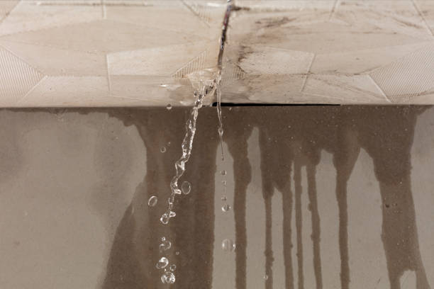 Professional Water Damage Repair technician working in Cisco, TX